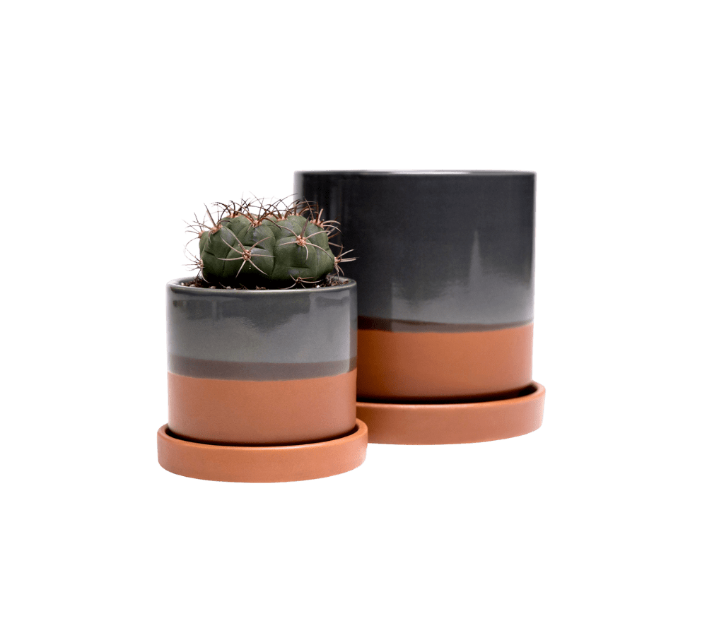 Minute Ceramic Pot And Saucer Set With Drainage - Chive Ceramics Studio - Pots - Chive Ceramics Studio