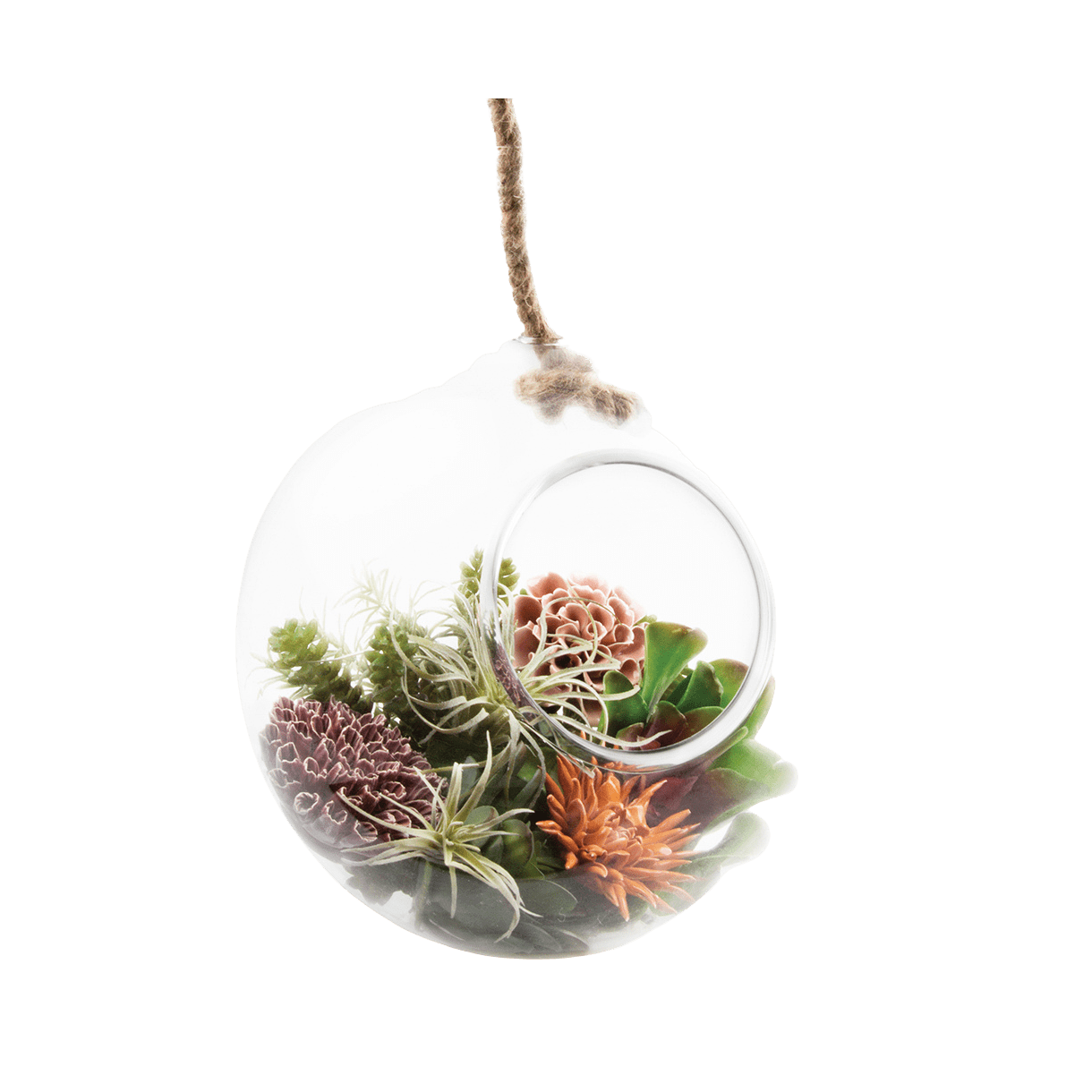 Bolsk Glass Large Hanging Terrarium - Chive Ceramics Studio - Terrariums - Chive US