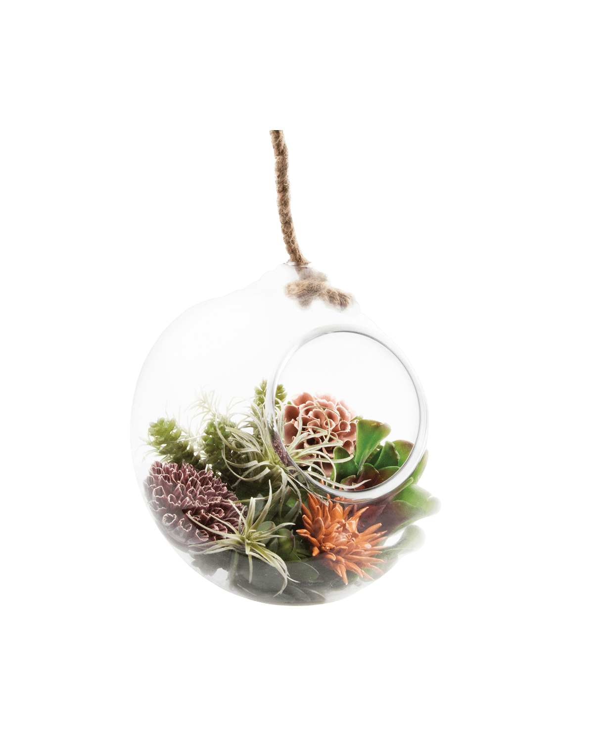 Bolsk Glass Large Hanging Terrarium - Chive Ceramics Studio - Terrariums - Chive US