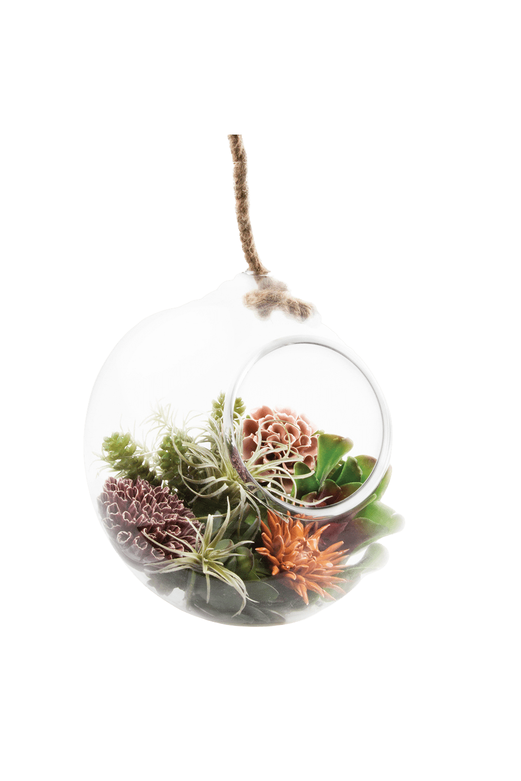Bolsk Glass Large Hanging Terrarium - Chive Ceramics Studio - Terrariums - Chive US
