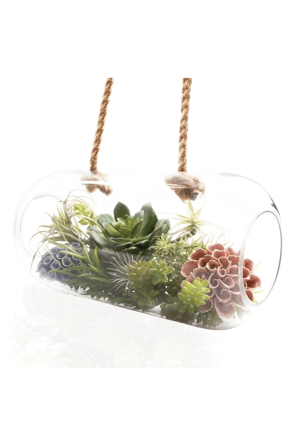 Bolsk Glass Large Hanging Terrarium - Chive Ceramics Studio - Terrariums - Chive US