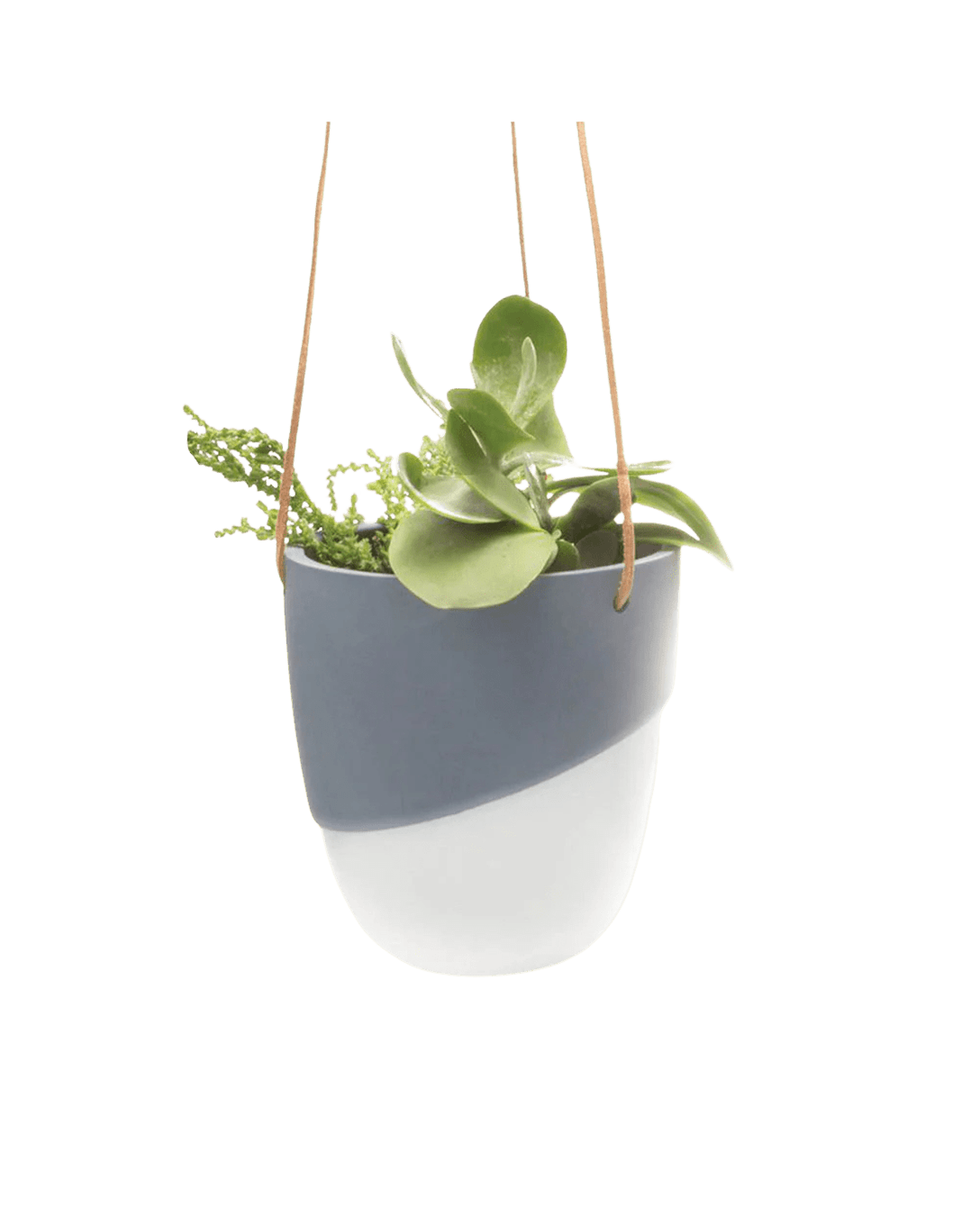 Bobbin Porcelain Modern Hanging Indoor Plant Pot - Chive Ceramics Studio - Pots - Chive US