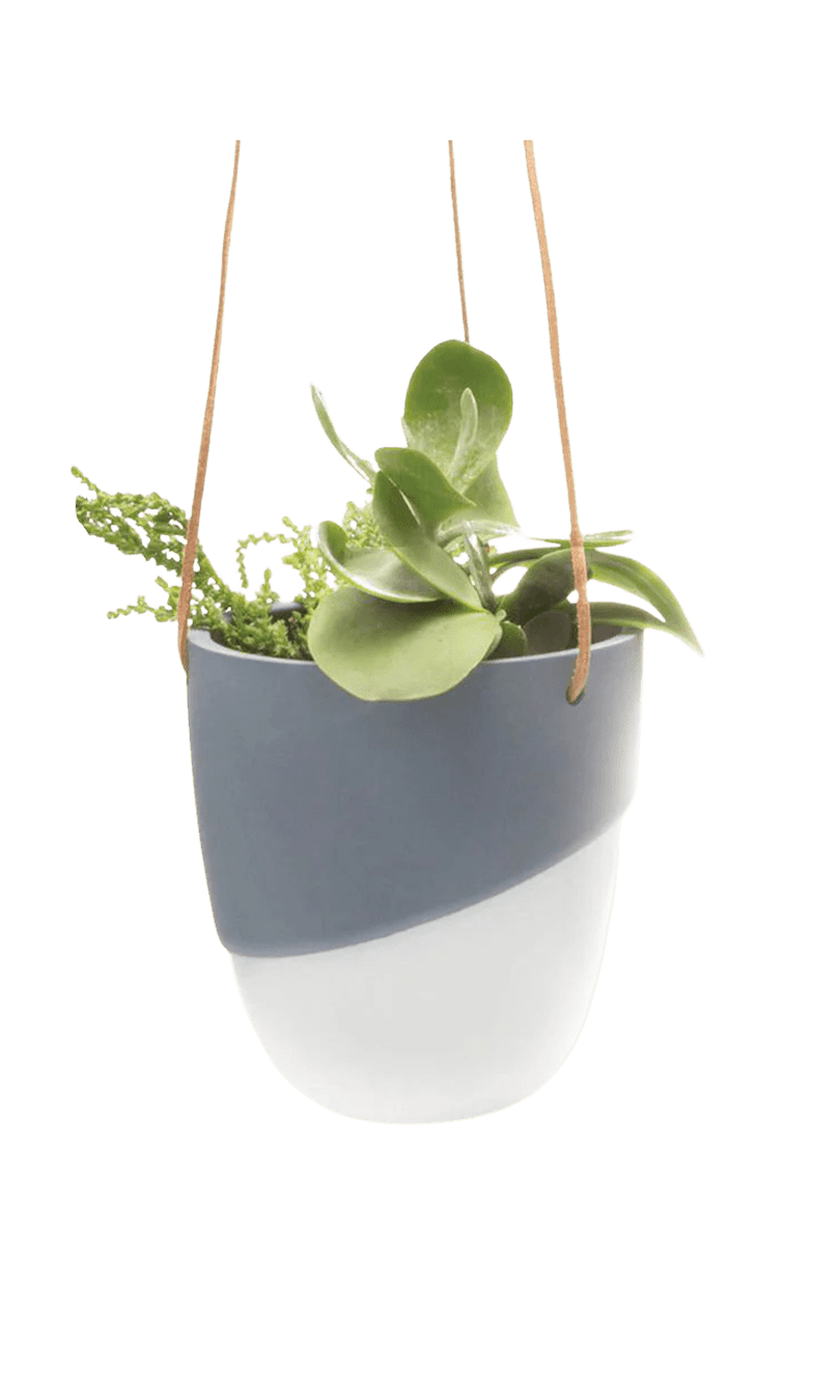 Bobbin Porcelain Modern Hanging Indoor Plant Pot - Chive Ceramics Studio - Pots - Chive US