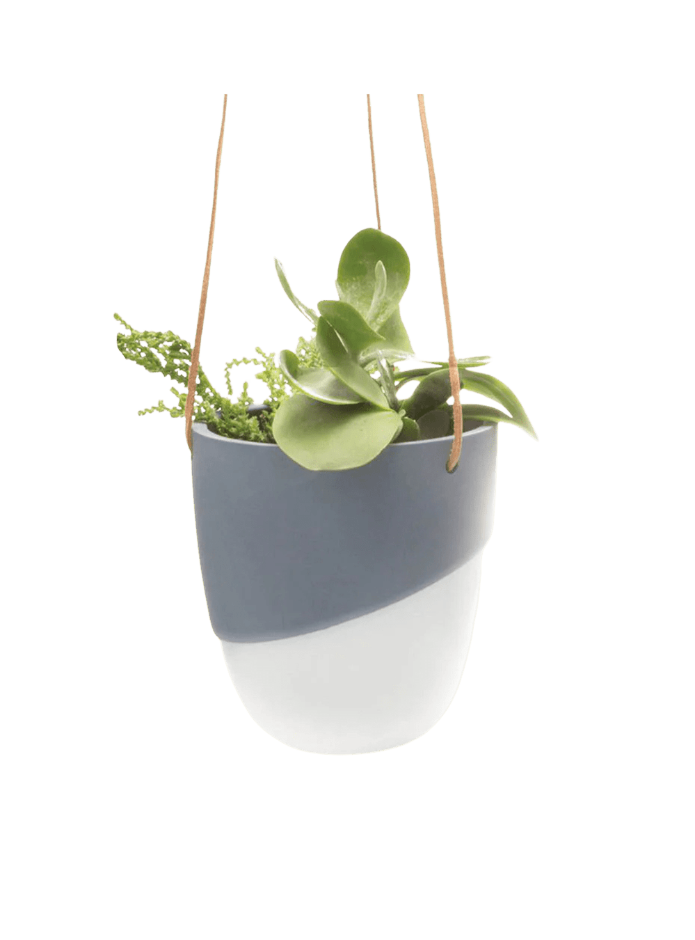 Bobbin Porcelain Modern Hanging Indoor Plant Pot - Chive Ceramics Studio - Pots - Chive US