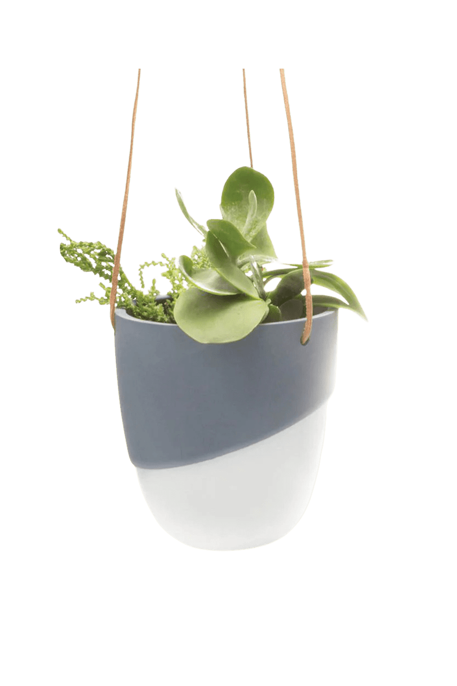 Bobbin Porcelain Modern Hanging Indoor Plant Pot - Chive Ceramics Studio - Pots - Chive US