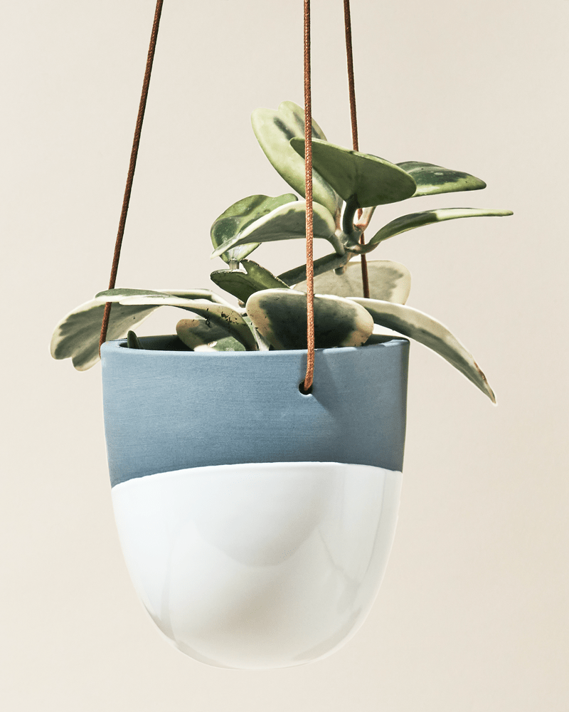 Bobbin Porcelain Modern Hanging Indoor Plant Pot - Chive Ceramics Studio - Pots - Chive US