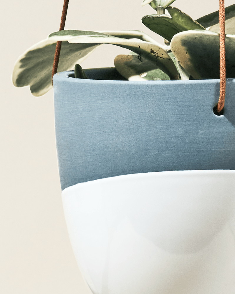 Bobbin Porcelain Modern Hanging Indoor Plant Pot - Chive Ceramics Studio - Pots - Chive US