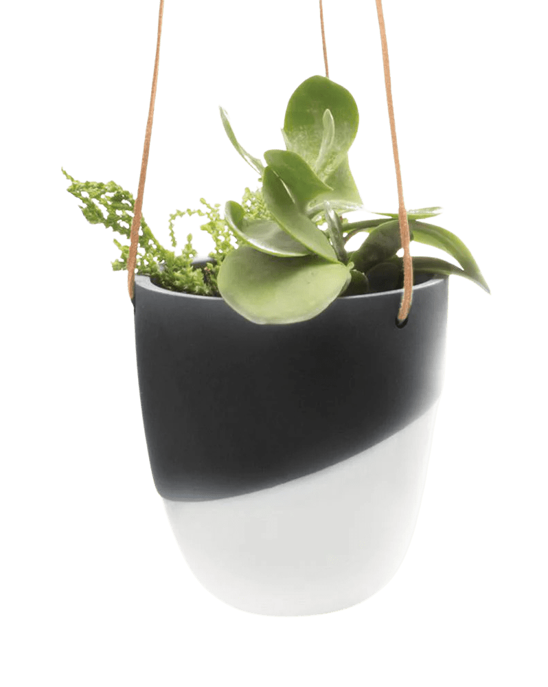 Bobbin Porcelain Modern Hanging Indoor Plant Pot - Chive Ceramics Studio - Pots - Chive US