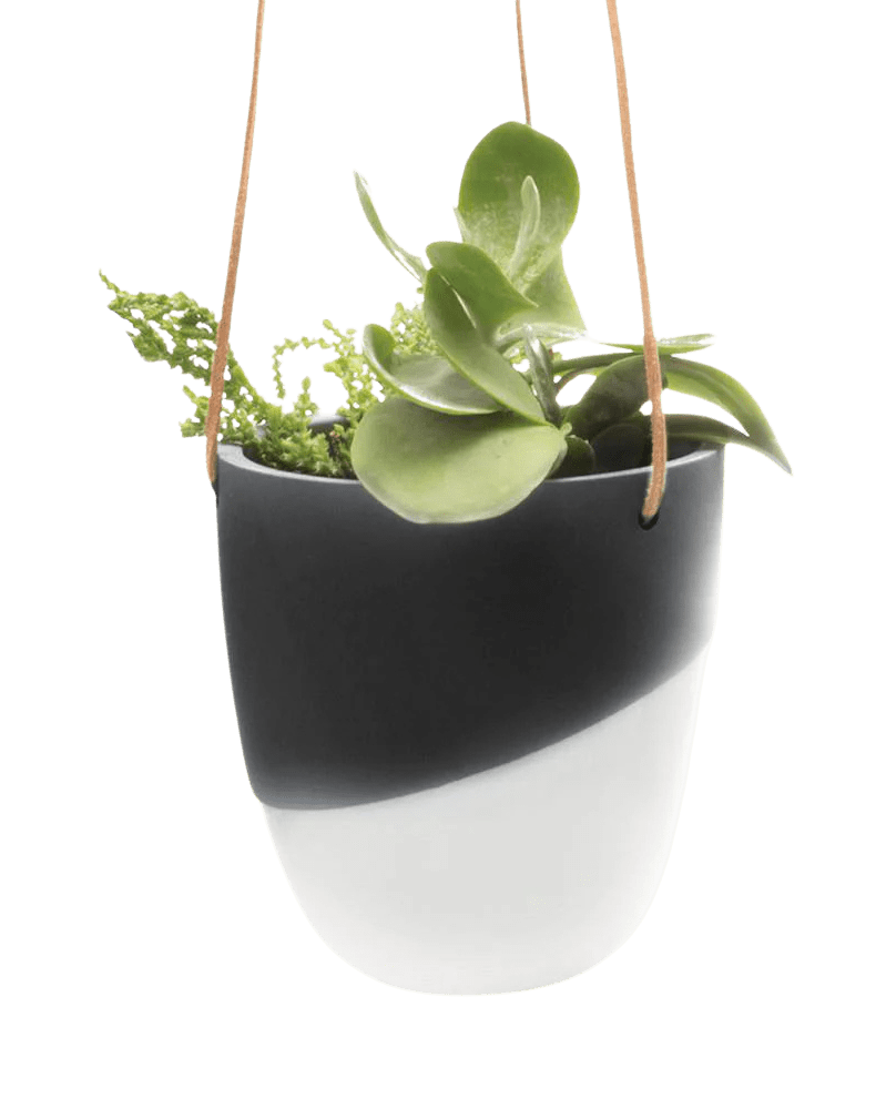 Bobbin Porcelain Modern Hanging Indoor Plant Pot - Chive Ceramics Studio - Pots - Chive US