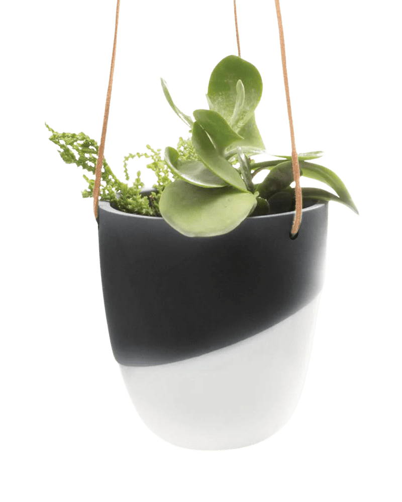Bobbin Porcelain Modern Hanging Indoor Plant Pot - Chive Ceramics Studio - Pots - Chive US