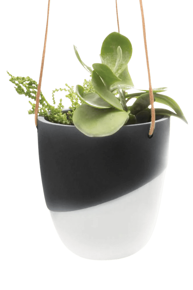 Bobbin Porcelain Modern Hanging Indoor Plant Pot - Chive Ceramics Studio - Pots - Chive US