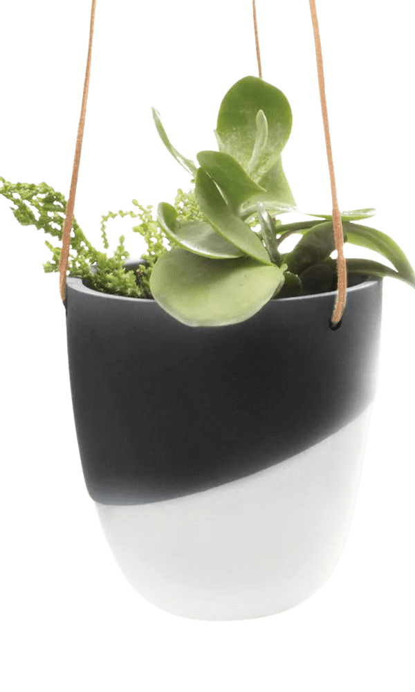 Bobbin Porcelain Modern Hanging Indoor Plant Pot - Chive Ceramics Studio - Pots - Chive US