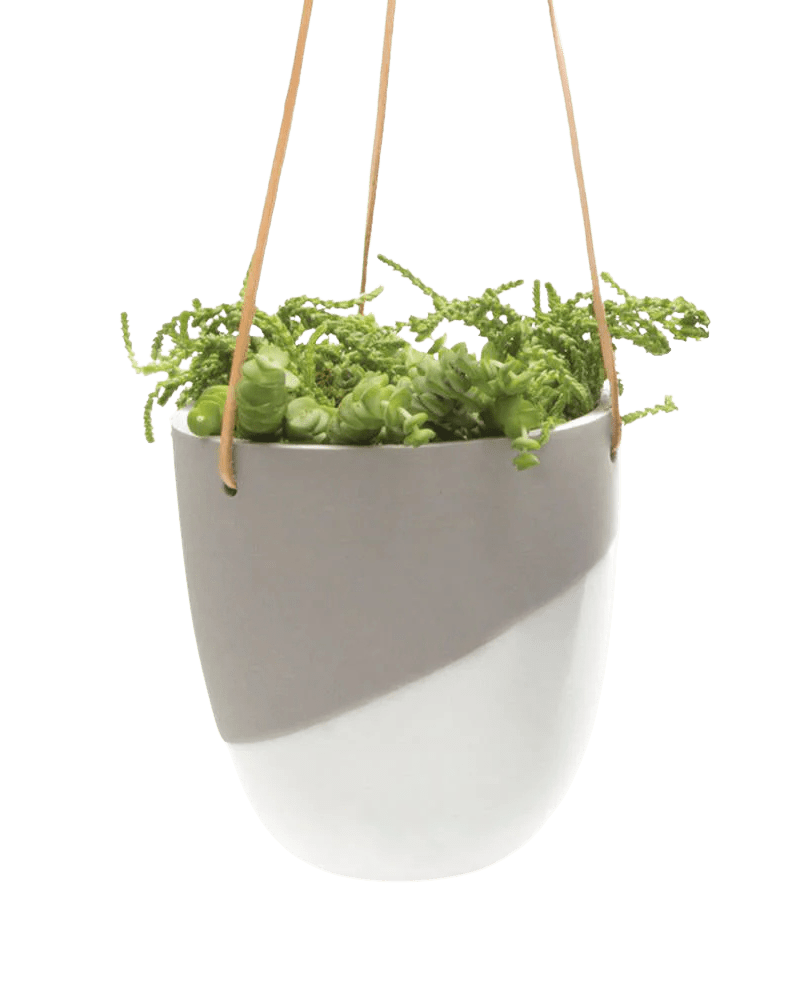 Bobbin Porcelain Modern Hanging Indoor Plant Pot - Chive Ceramics Studio - Pots - Chive US