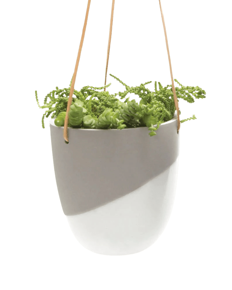 Bobbin Porcelain Modern Hanging Indoor Plant Pot - Chive Ceramics Studio - Pots - Chive US