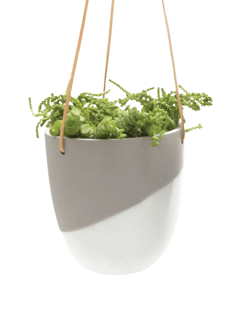 Bobbin Porcelain Modern Hanging Indoor Plant Pot - Chive Ceramics Studio - Pots - Chive US