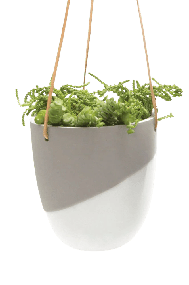 Bobbin Porcelain Modern Hanging Indoor Plant Pot - Chive Ceramics Studio - Pots - Chive US
