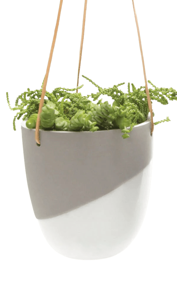 Bobbin Porcelain Modern Hanging Indoor Plant Pot - Chive Ceramics Studio - Pots - Chive US