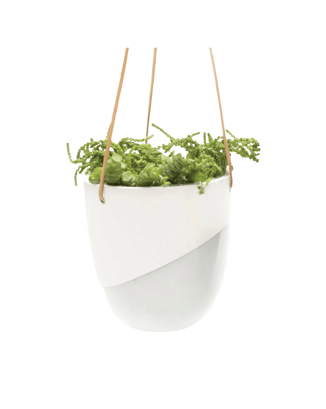 Bobbin Porcelain Modern Hanging Indoor Plant Pot - Chive Ceramics Studio - Pots - Chive US