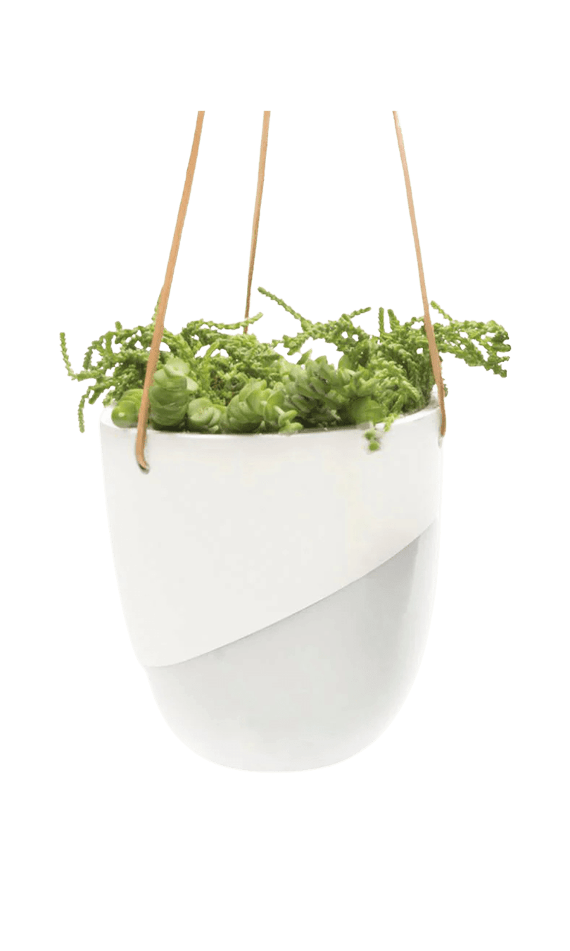 Bobbin Porcelain Modern Hanging Indoor Plant Pot - Chive Ceramics Studio - Pots - Chive US