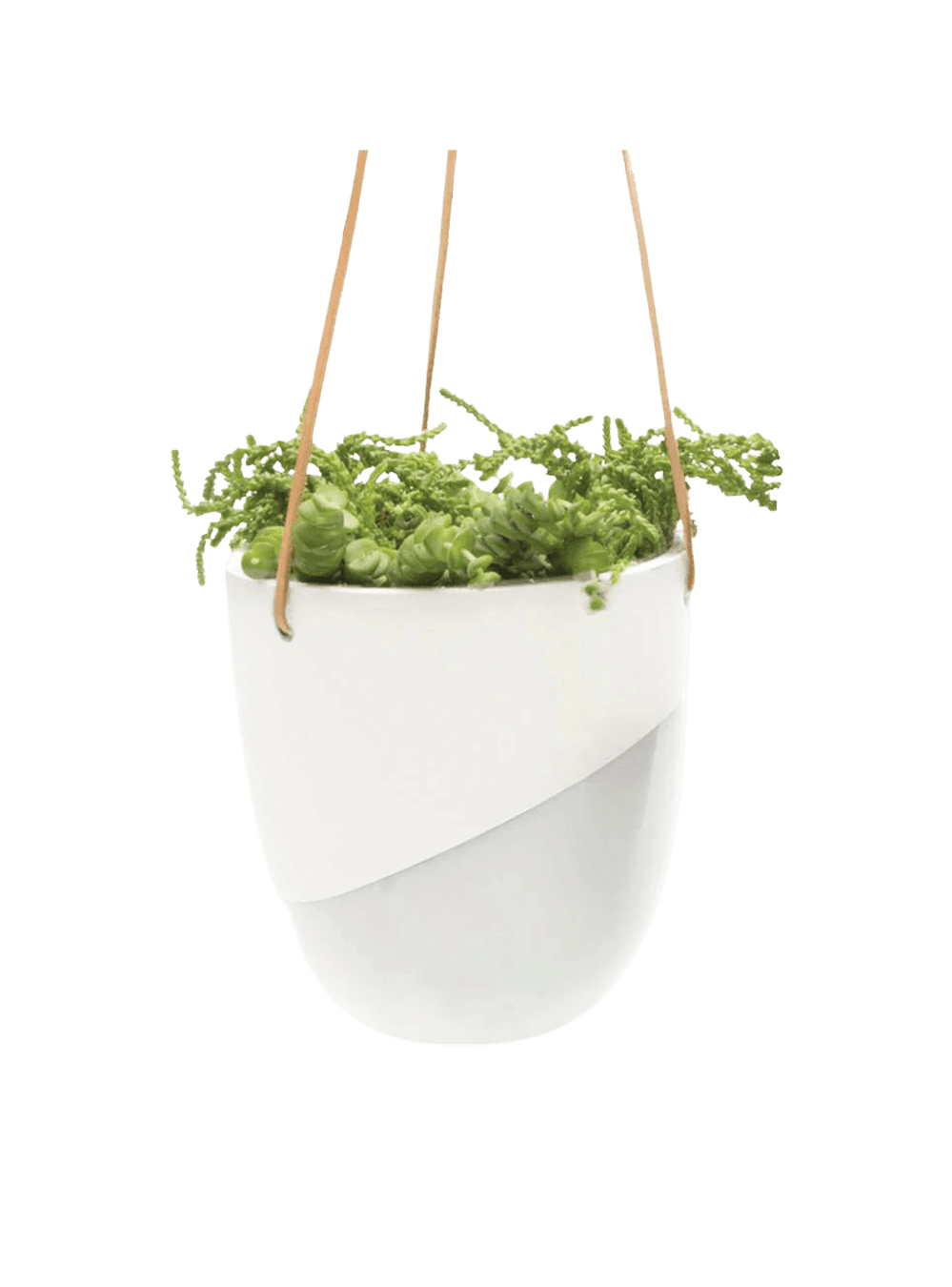 Bobbin Porcelain Modern Hanging Indoor Plant Pot - Chive Ceramics Studio - Pots - Chive US