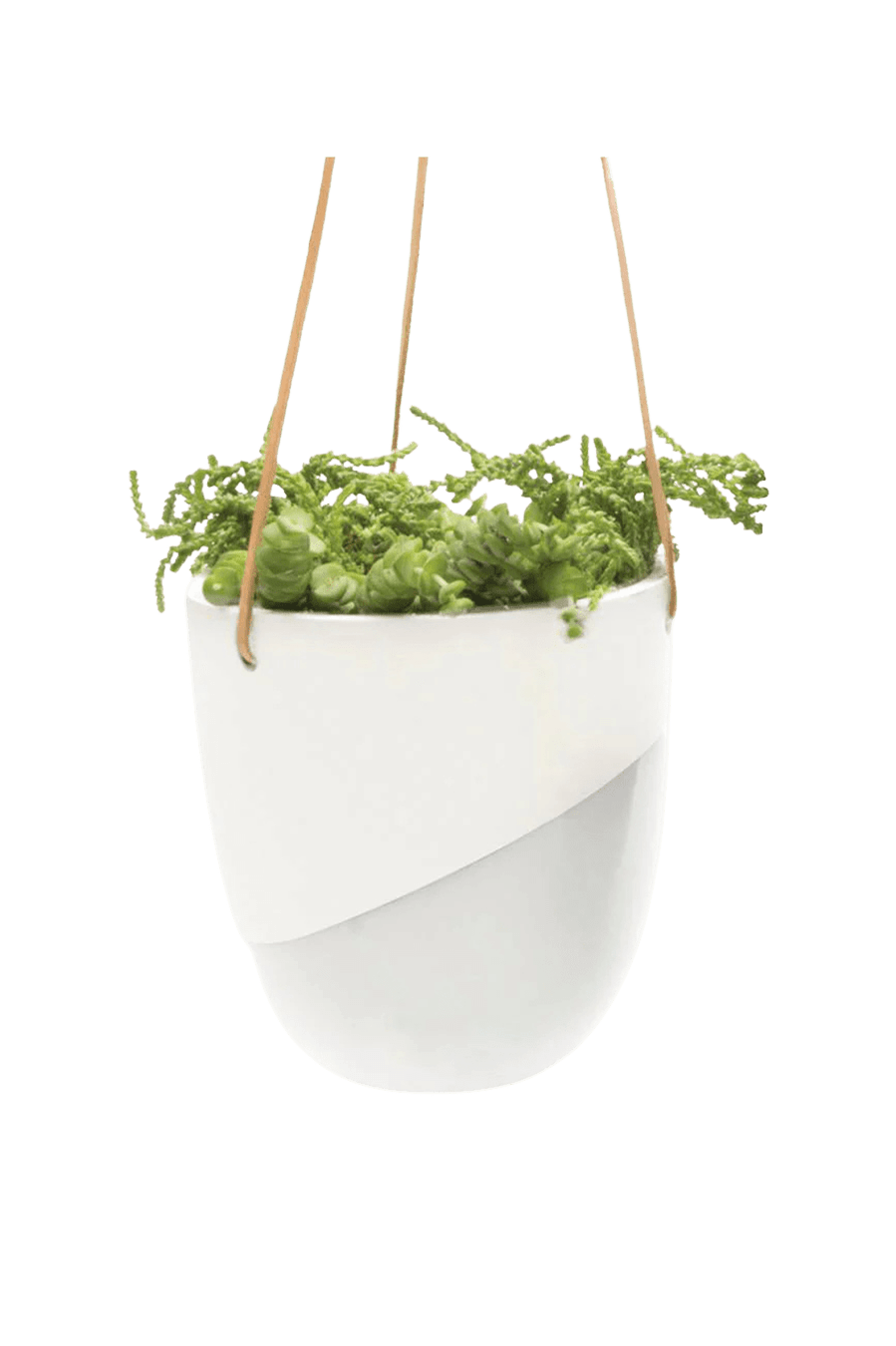 Bobbin Porcelain Modern Hanging Indoor Plant Pot - Chive Ceramics Studio - Pots - Chive US