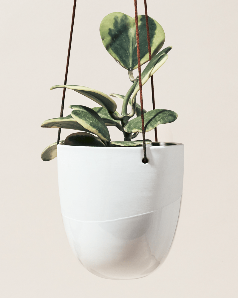 Bobbin Porcelain Modern Hanging Indoor Plant Pot - Chive Ceramics Studio - Pots - Chive US