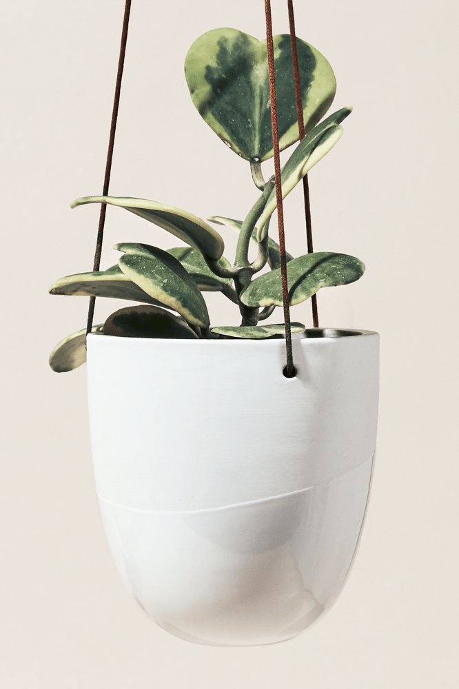 Bobbin Porcelain Modern Hanging Indoor Plant Pot - Chive Ceramics Studio - Pots - Chive US