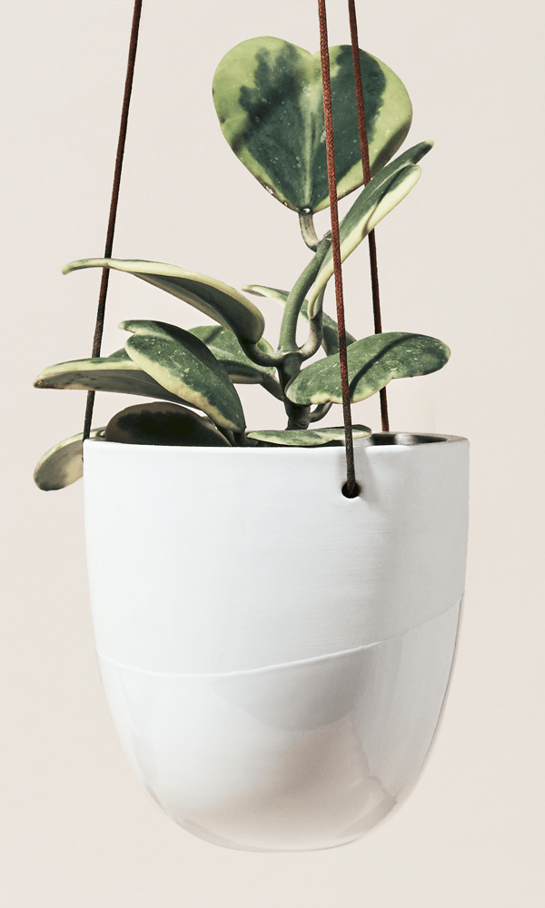 Bobbin Porcelain Modern Hanging Indoor Plant Pot - Chive Ceramics Studio - Pots - Chive US