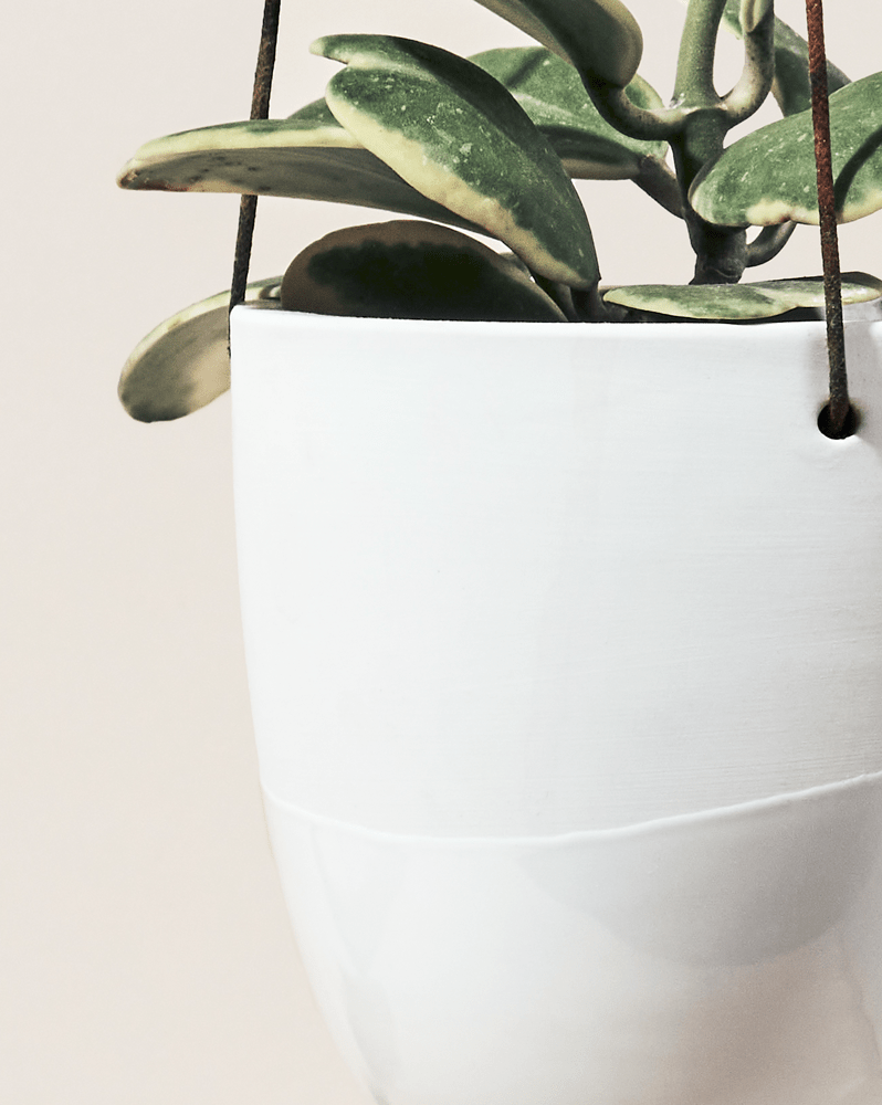 Bobbin Porcelain Modern Hanging Indoor Plant Pot - Chive Ceramics Studio - Pots - Chive US