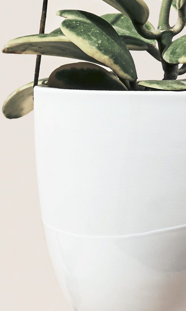 Bobbin Porcelain Modern Hanging Indoor Plant Pot - Chive Ceramics Studio - Pots - Chive US