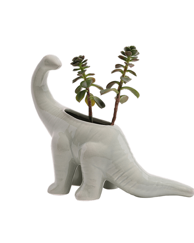 Brontosaurus Ceramic Indoor Plant Pot for Succulents - Chive Ceramics Studio - Pots - Chive Ceramics Studio
