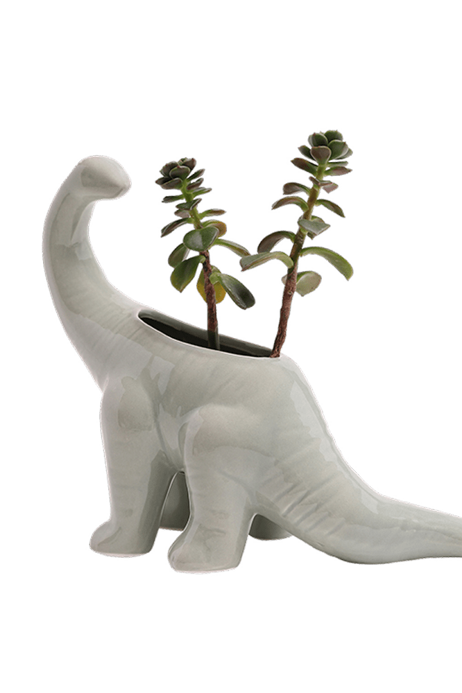 Brontosaurus Ceramic Indoor Plant Pot for Succulents - Chive Ceramics Studio - Pots - Chive Ceramics Studio