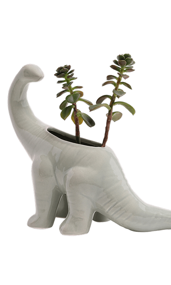 Brontosaurus Ceramic Indoor Plant Pot for Succulents - Chive Ceramics Studio - Pots - Chive Ceramics Studio