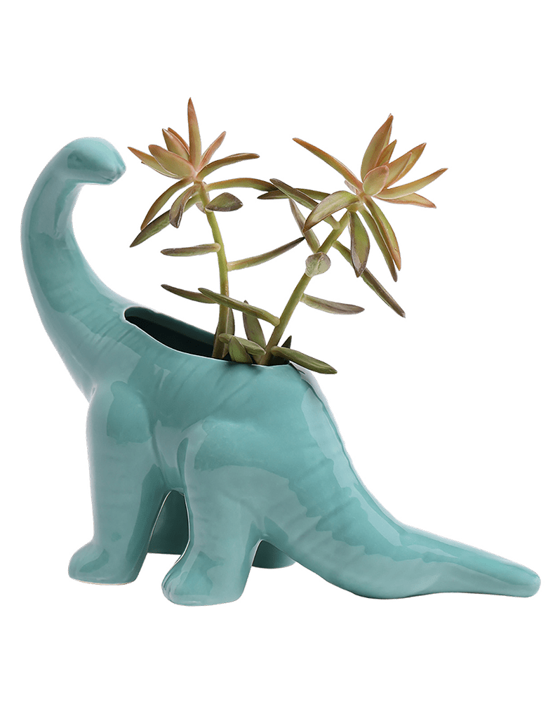 Brontosaurus Ceramic Indoor Plant Pot for Succulents - Chive Ceramics Studio - Pots - Chive Ceramics Studio
