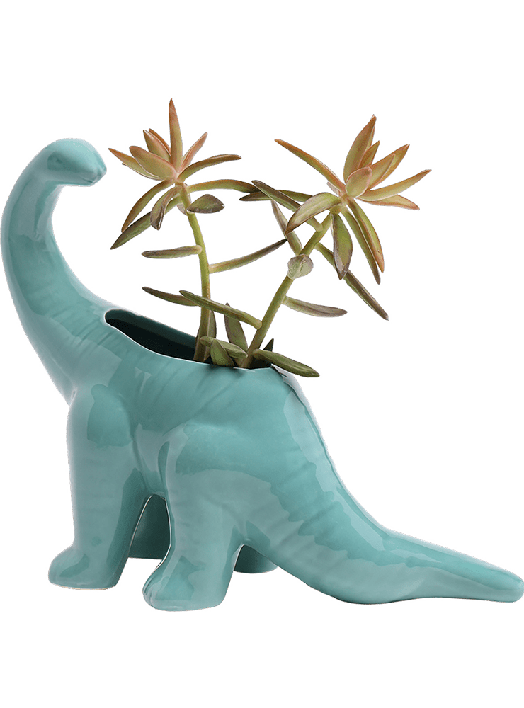 Brontosaurus Ceramic Indoor Plant Pot for Succulents - Chive Ceramics Studio - Pots - Chive Ceramics Studio