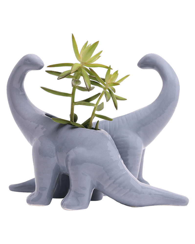 Brontosaurus Ceramic Indoor Plant Pot for Succulents - Chive Ceramics Studio - Pots - Chive Ceramics Studio