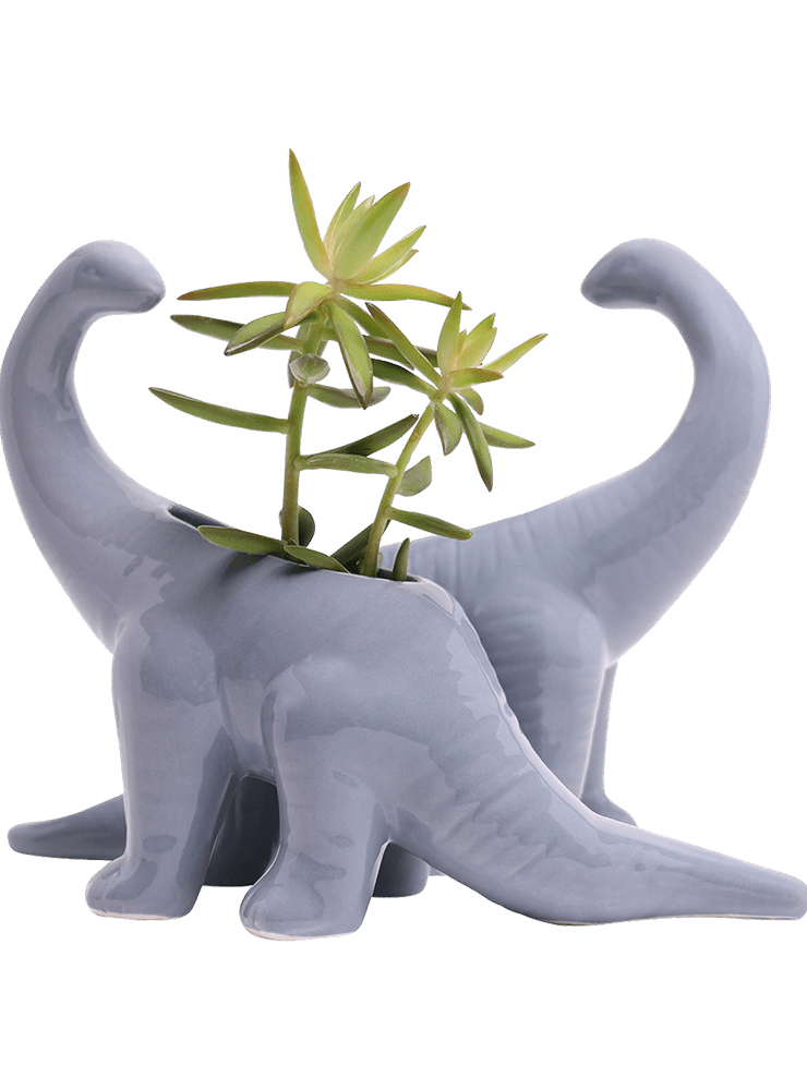 Brontosaurus Ceramic Indoor Plant Pot for Succulents - Chive Ceramics Studio - Pots - Chive Ceramics Studio