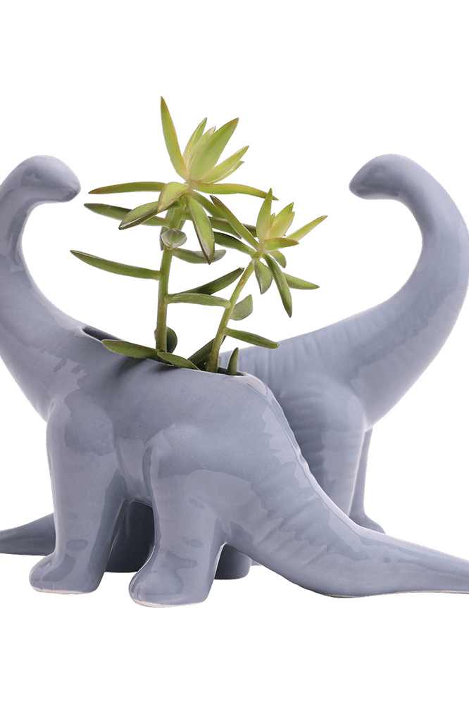Brontosaurus Ceramic Indoor Plant Pot for Succulents - Chive Ceramics Studio - Pots - Chive Ceramics Studio