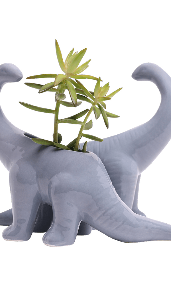 Brontosaurus Ceramic Indoor Plant Pot for Succulents - Chive Ceramics Studio - Pots - Chive Ceramics Studio