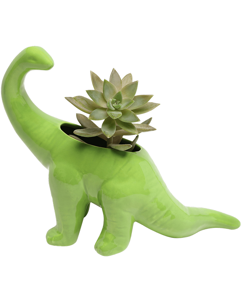 Brontosaurus Ceramic Indoor Plant Pot for Succulents - Chive Ceramics Studio - Pots - Chive Ceramics Studio