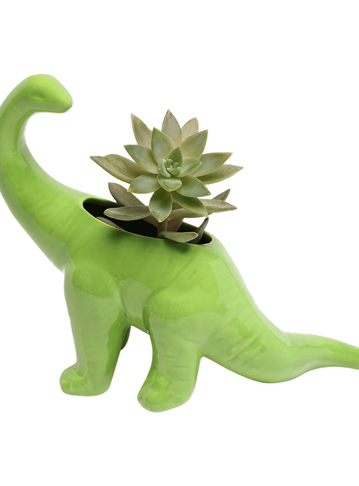 Brontosaurus Ceramic Indoor Plant Pot for Succulents - Chive Ceramics Studio - Pots - Chive Ceramics Studio