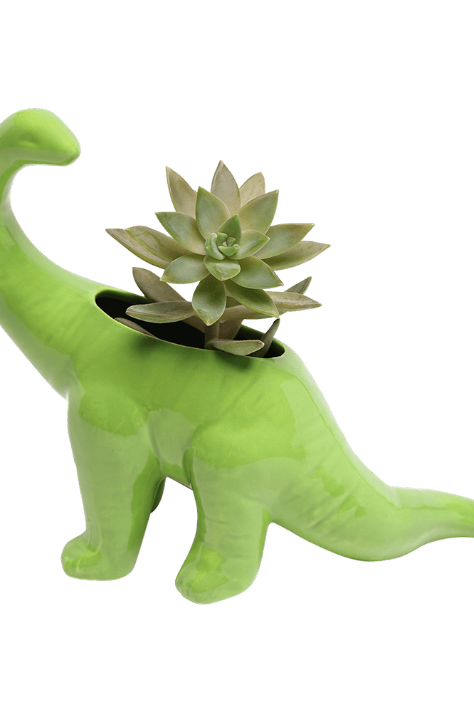 Brontosaurus Ceramic Indoor Plant Pot for Succulents - Chive Ceramics Studio - Pots - Chive Ceramics Studio
