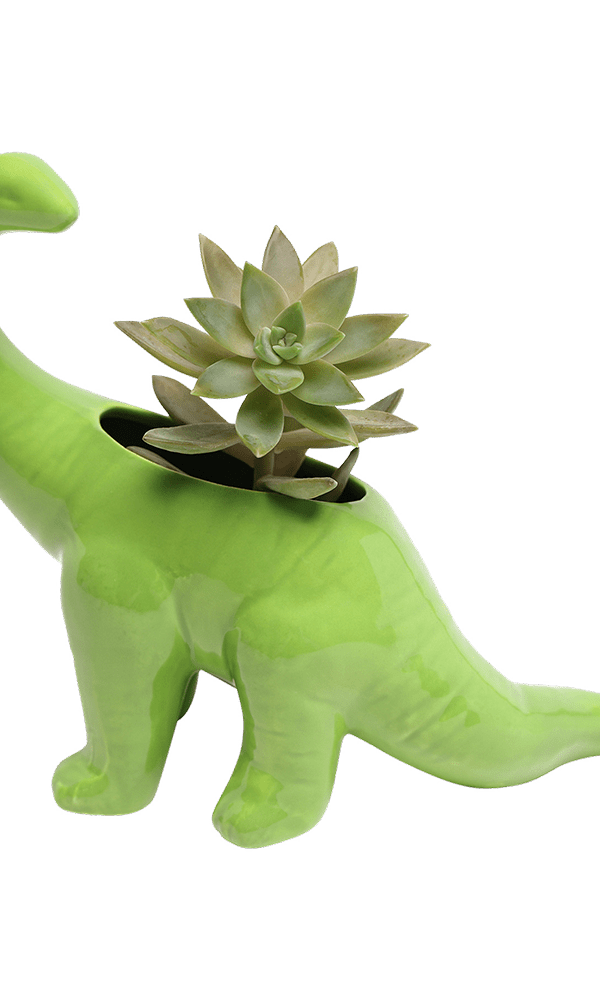Brontosaurus Ceramic Indoor Plant Pot for Succulents - Chive Ceramics Studio - Pots - Chive Ceramics Studio