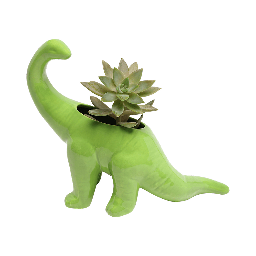 Brontosaurus Ceramic Indoor Plant Pot for Succulents - Chive Ceramics Studio - Pots - Chive Ceramics Studio