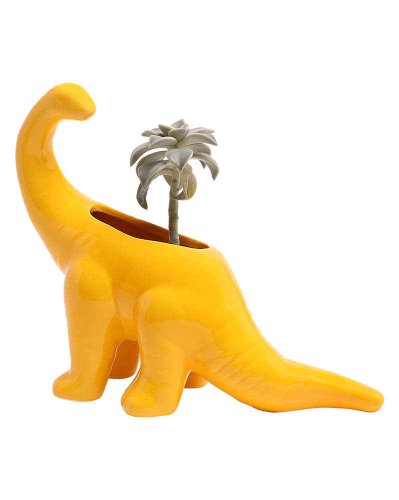 Brontosaurus Ceramic Indoor Plant Pot for Succulents - Chive Ceramics Studio - Pots - Chive Ceramics Studio