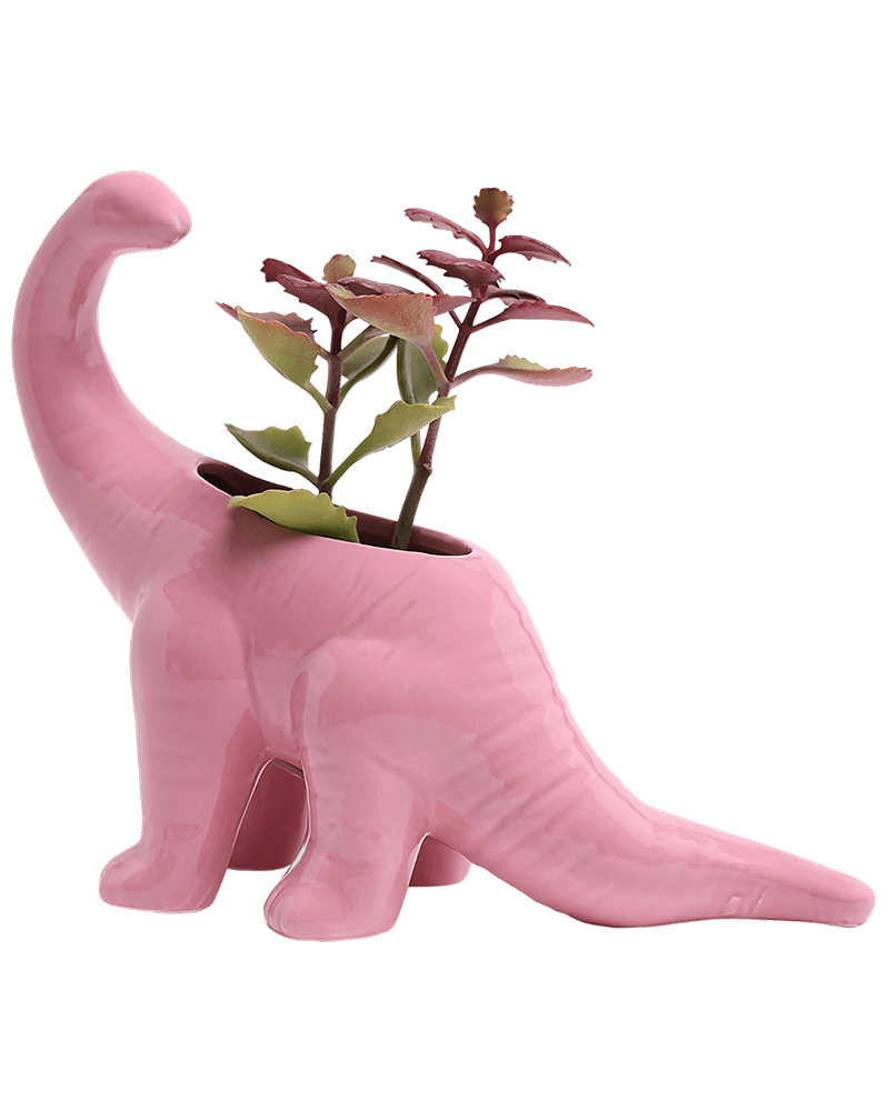 Brontosaurus Ceramic Indoor Plant Pot for Succulents - Chive Ceramics Studio - Pots - Chive Ceramics Studio