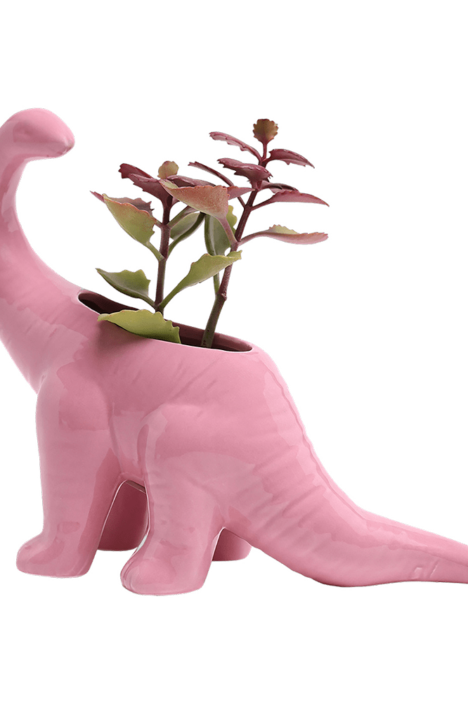Brontosaurus Ceramic Indoor Plant Pot for Succulents - Chive Ceramics Studio - Pots - Chive Ceramics Studio