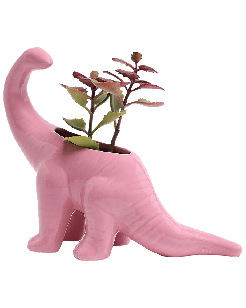 Brontosaurus Ceramic Indoor Plant Pot for Succulents - Chive Ceramics Studio - Pots - Chive Ceramics Studio