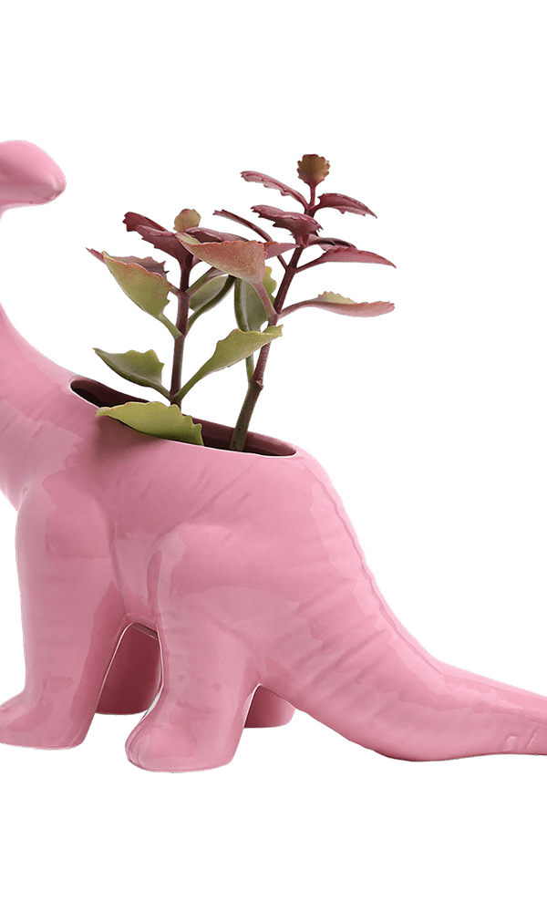 Brontosaurus Ceramic Indoor Plant Pot for Succulents - Chive Ceramics Studio - Pots - Chive Ceramics Studio