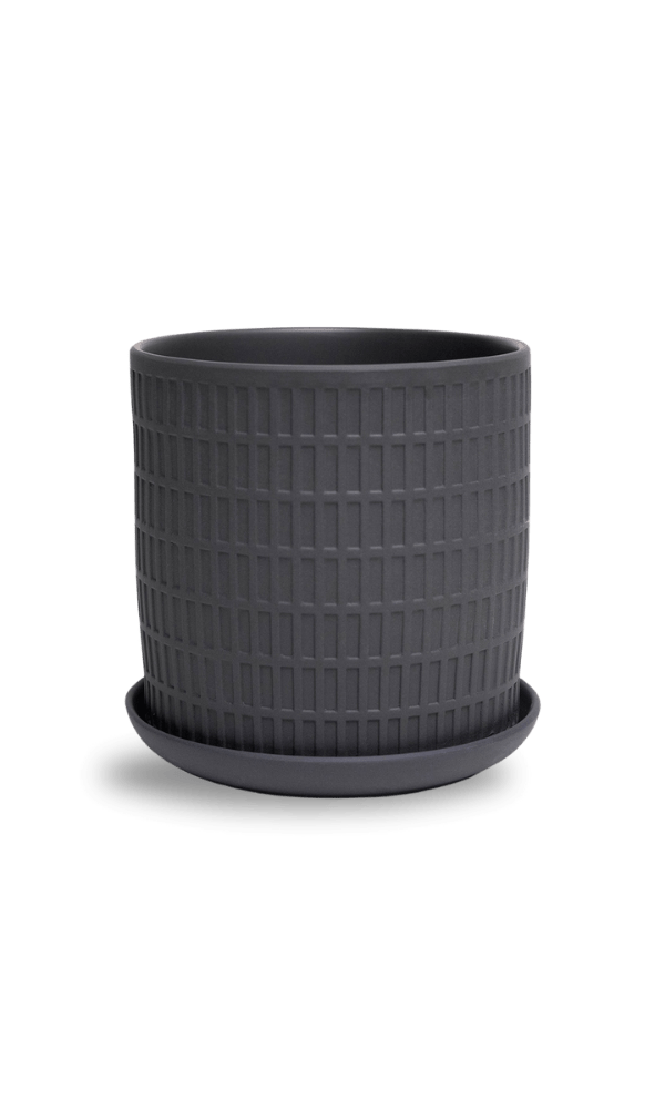 Virago 5" Porcelain Pot With Drainage Hole And Saucer - Chive Ceramics Studio - Pots - Chive Ceramics Studio